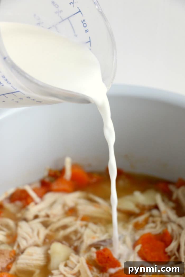 Full bowl of rich chicken stew with vegetables, showcasing the creamy broth.