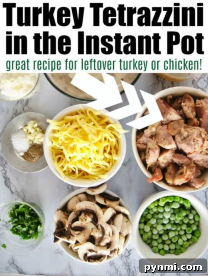 Instant Pot turkey tetrazzini using leftover turkey or rotisserie chicken! Cooked with tender noodles and vegetables all in one pot, you'll love it. #instantpotrecipes #turkeytetrazzini #leftoverturkeyrecipe #pressurecookerrecipes #instapot #instapotrecipes #instantpot A delicious pressure cooker turkey tetrazzini, garnished with fresh parsley, showcasing a hearty and comforting meal perfect for using up holiday turkey.