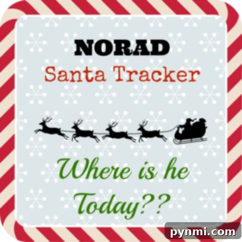 Track Santa's worldwide journey with the NORAD Santa Tracker App – a free and fun holiday tradition for families. #NORAD #SantaTracker #Christmas NORAD Santa Tracker App: Your Guide to Tracking Santa's Christmas Eve Journey
