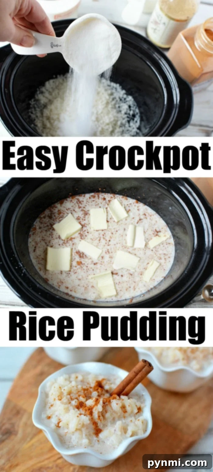 A beautiful shot of slow cooker rice pudding in serving bowls, ready to be enjoyed.