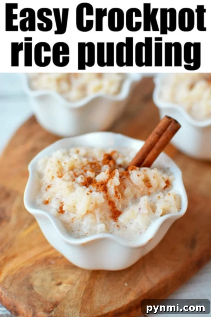 A final close-up of slow cooker rice pudding in a beautiful bowl, garnished and ready.