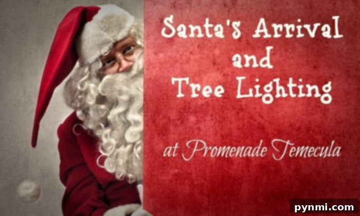 Promenade Temecula Holiday Tree Lighting and Santa's Arrival 2 Santa in Temecula