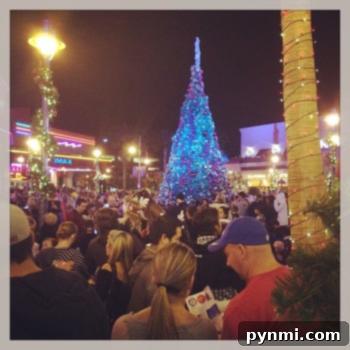 Promenade Temecula Holiday Tree Lighting and Santa's Arrival 4 Temecula Mall Tree Lighting