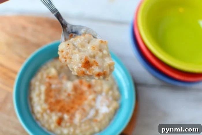 slow cooker oatmeal