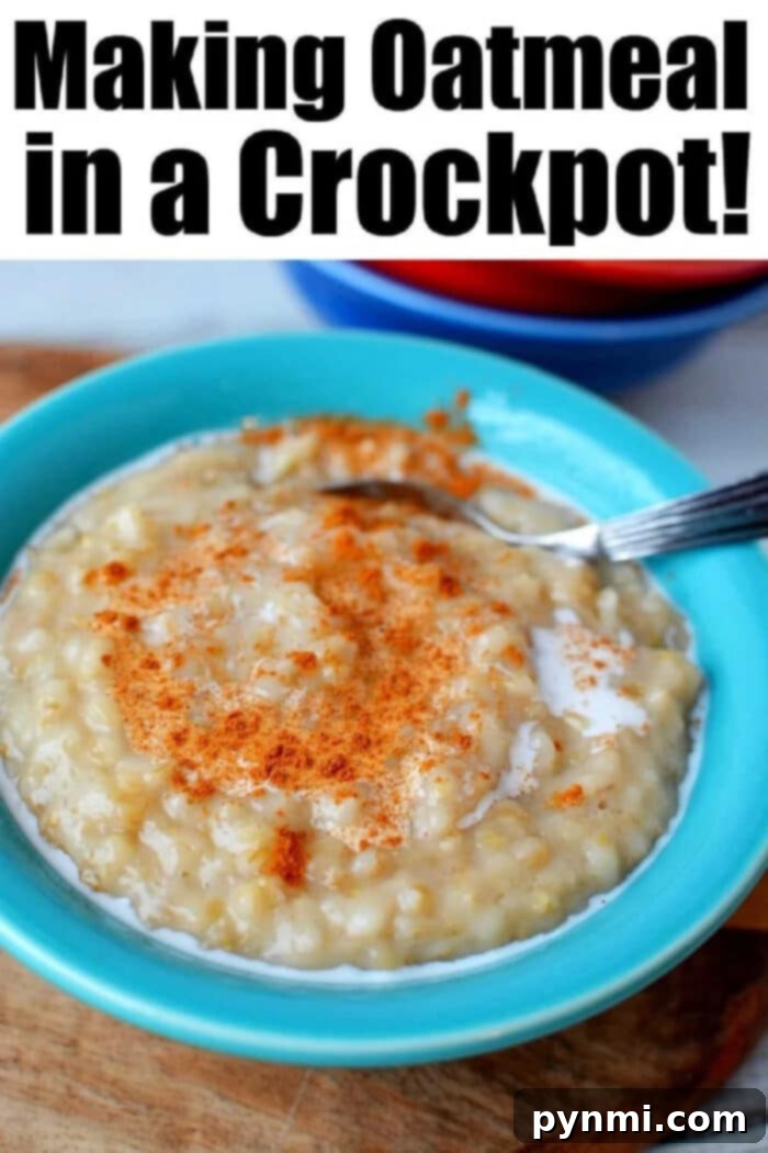 slow-cooker-steel-cut-oats