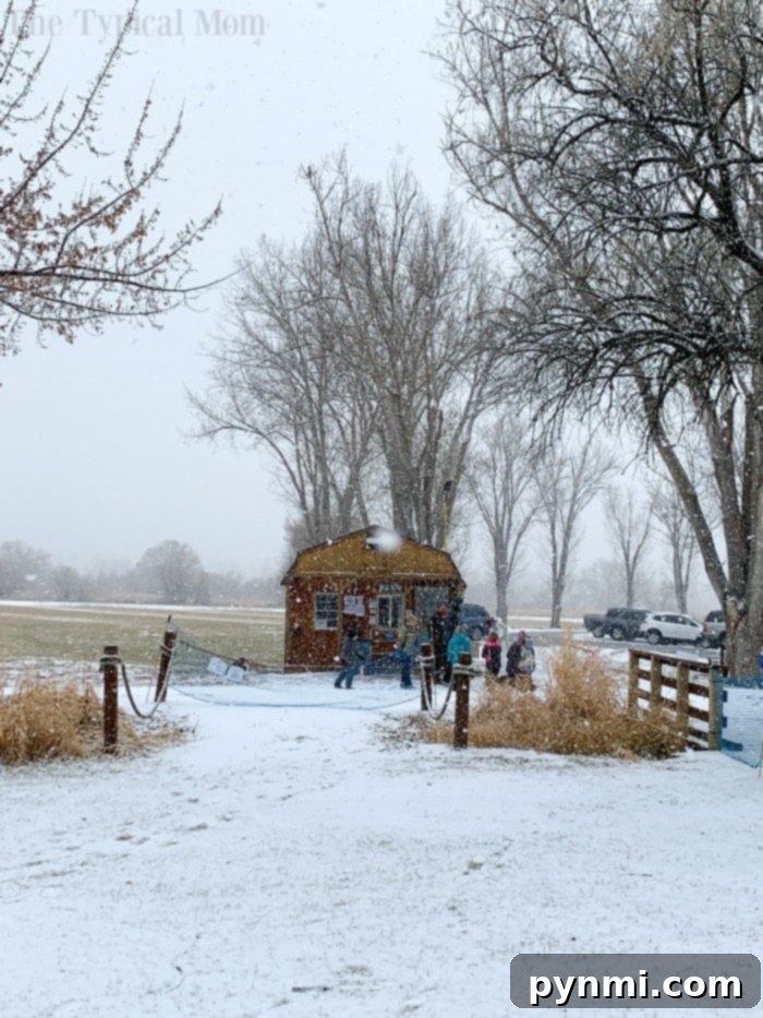 Eagle Island Idaho: A Premier Winter Destination Kids enjoying sledding at Eagle Island State Park