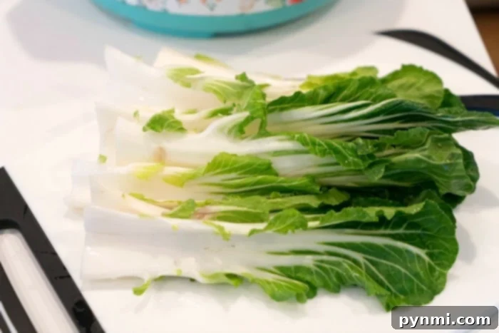 Fresh Bok Choy for Cooking