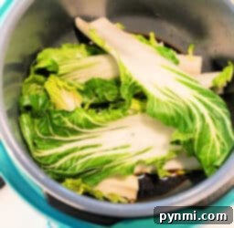 Fresh bok choy leaves and stalks are placed in a turquoise cooking pot, ready for anyone learning how to make bok choy dishes. The leaves boast a bright green color and white stalks, ideal for steaming or cooking.