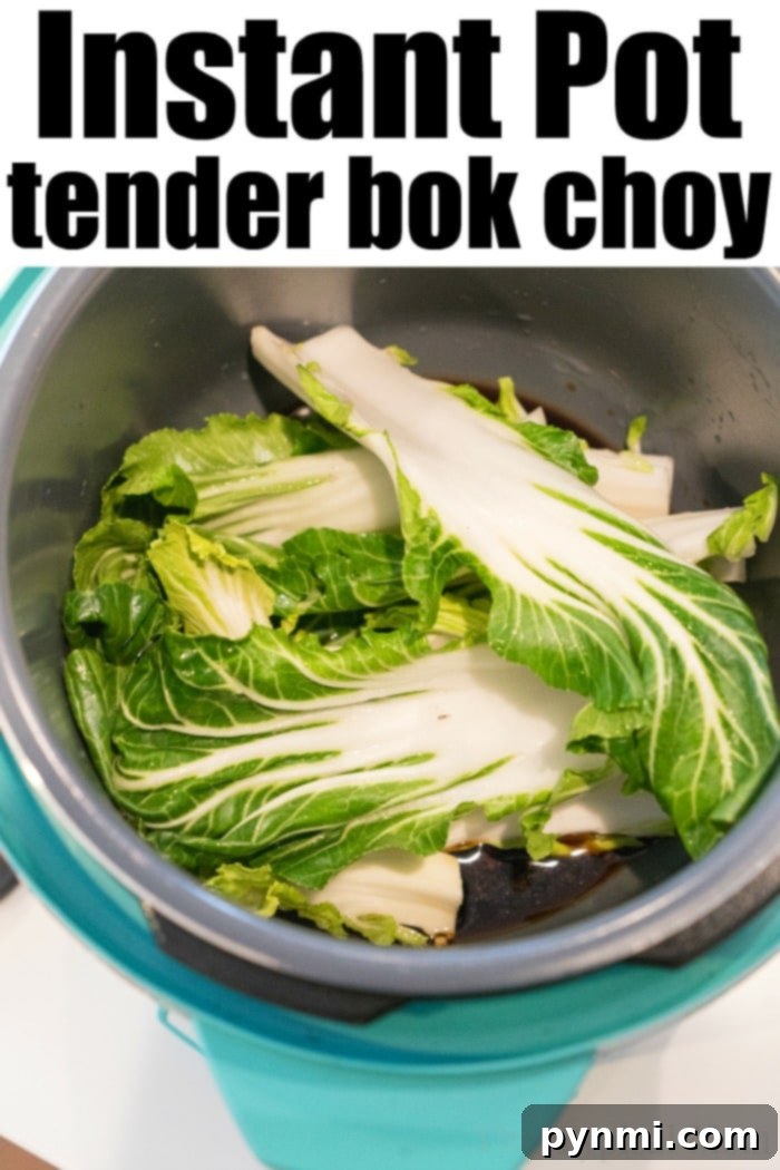 Close-up of Instant Pot bok choy