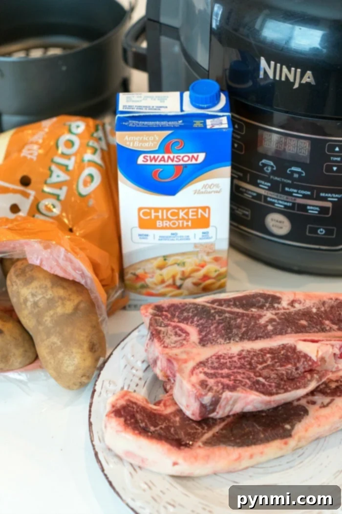 Ninja Foodi steak and mashed potatoes comes out great, all in one pot! Tender pressure cooked meat and potatoes, then air fried steak with the best dry rub. #ninjafoodi #ninjafoodirecipes #foodi #steak #mashedpotatoes #onepotmeals #thetypicalmom ninja foodi steak and mashed potatoes ready to serve