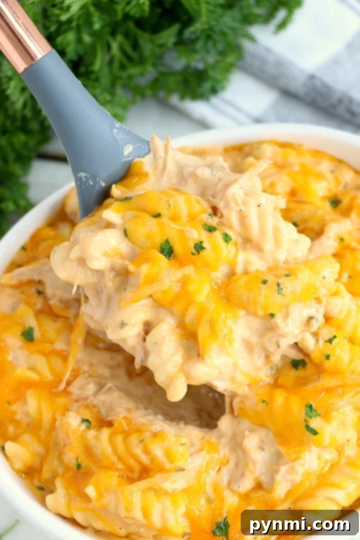 Delicious Instant Pot casserole with chicken, pork or beef and pasta for quick one-pot meals! instant pot casserole with chicken, pork, or beef and pasta