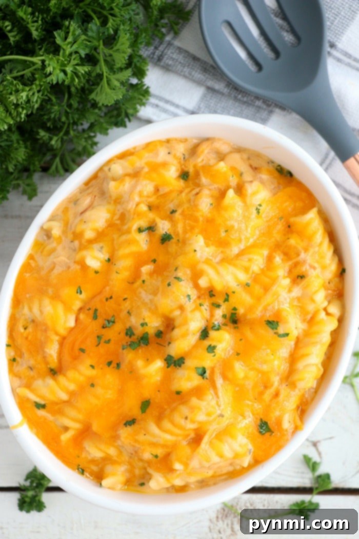 Easy Instant Pot casserole with chicken, pork or beef and pasta for amazing one-pot meals! instant pot pork pasta casserole