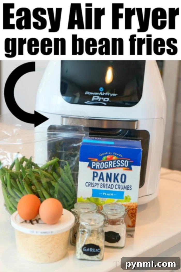 Air fryer green beans are a great snack or side dish with any meal. Crispy and crunchy vegetables covered in Panko bread crumbs and seasoning. #airfryerrecipes #airfryer #greenbeans #greenbeanfries #airfryergreenbeanfries #airfryergreenbeans #thetypicalmom Keto green bean fries served on a small plate.