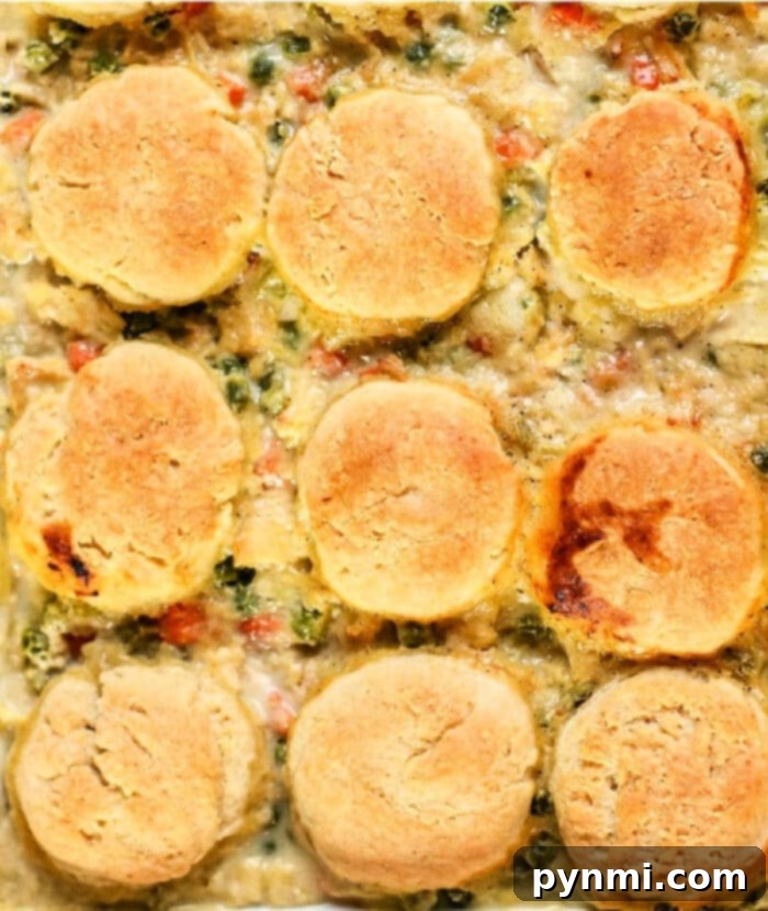 Ninja Foodi Chicken Pot Pie - A comforting casserole with a golden biscuit topping, perfect for family dinners.