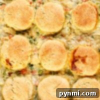 A casserole reminiscent of a comforting ninja foodi chicken pot pie, topped with golden brown biscuits.