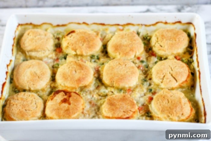 Easy chicken pot pie made quickly in a Ninja Foodi.