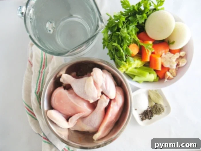 Quick Homemade Instant Pot Chicken Broth 3 Chicken and vegetables ready for the Instant Pot