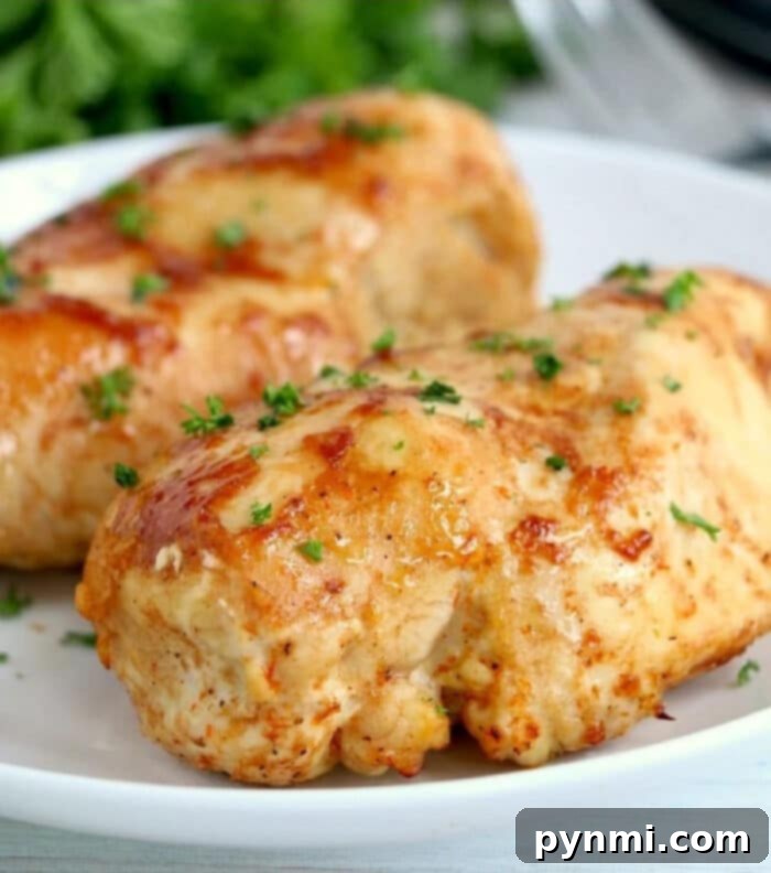 A vibrant selection of low carb air fryer recipes, showcasing healthy and delicious meals cooked with minimal oil.