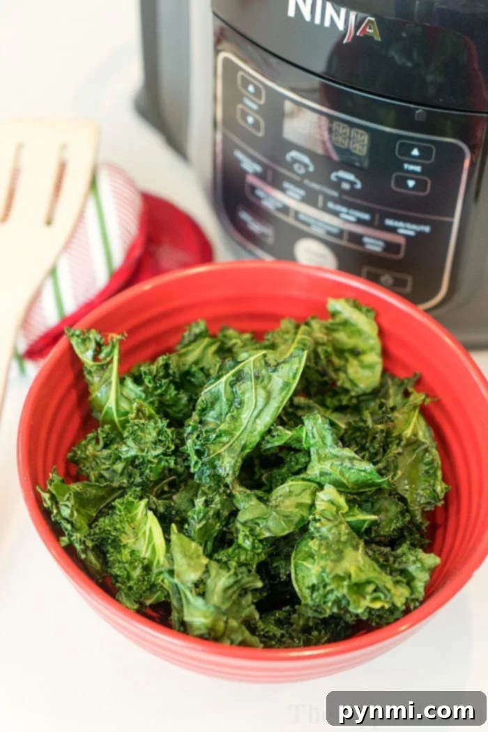 A vibrant red bowl of Ninja Foodi kale chips sits enticingly in front of an air fryer, offering a delicious and healthy treat that is perfect for low-carb snacking.