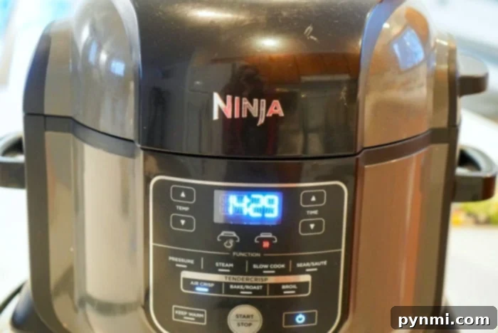 A versatile Ninja Foodi appliance, ready to tackle a range of low carb air fryer recipes from crispy jerky to tender chicken.
