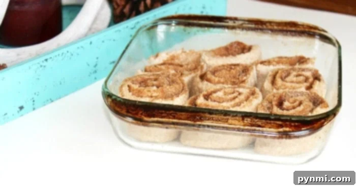 Perfect Homemade Cinnamon Rolls From Scratch 2 gingerbread cinnamon rolls