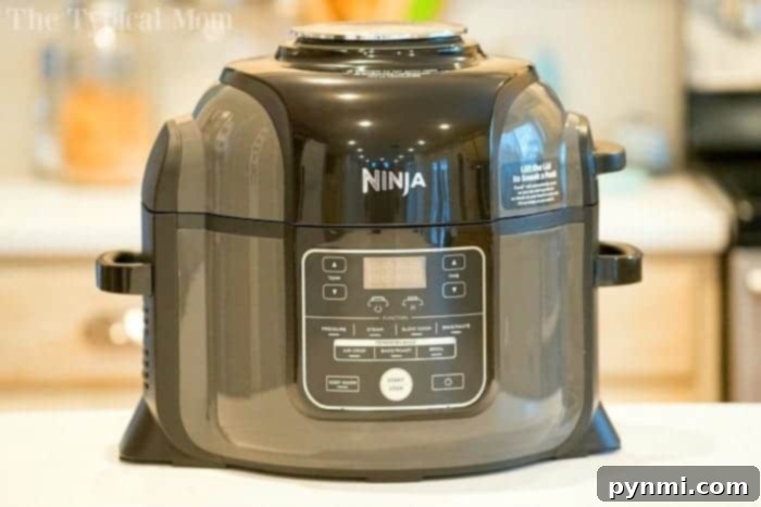 Ninja Foodi recipes for Costco bulk items, perfect for quick and healthy air fryer meals.