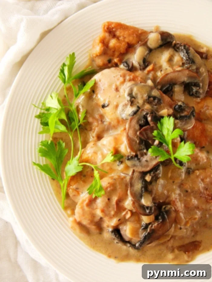 A serving of Instant Pot Chicken Marsala, showing tender chicken pieces with a rich, dark mushroom gravy, ready to be served.