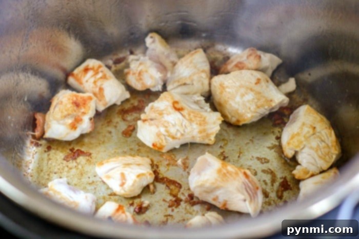 Velvety Peanut Butter Chicken 4 A bowl of pressure cooker chicken, rich and tender, garnished with fresh herbs, showcasing the delicious results of an Instant Pot recipe.