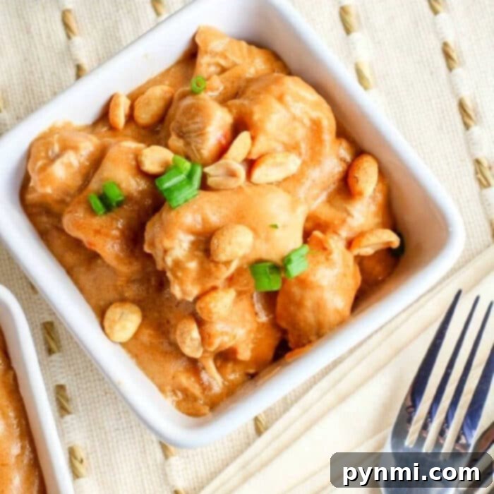 Velvety Peanut Butter Chicken 7 A top-down view of a serving of Instant Pot peanut butter chicken, garnished beautifully with chopped green onions, ready to be enjoyed.