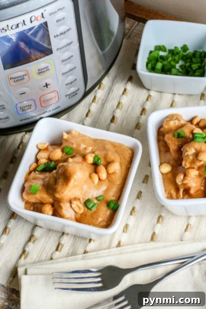Velvety Peanut Butter Chicken 8 A full spread of Instant Pot peanut butter chicken served with rice and garnished with fresh cilantro, emphasizing a complete and satisfying meal.