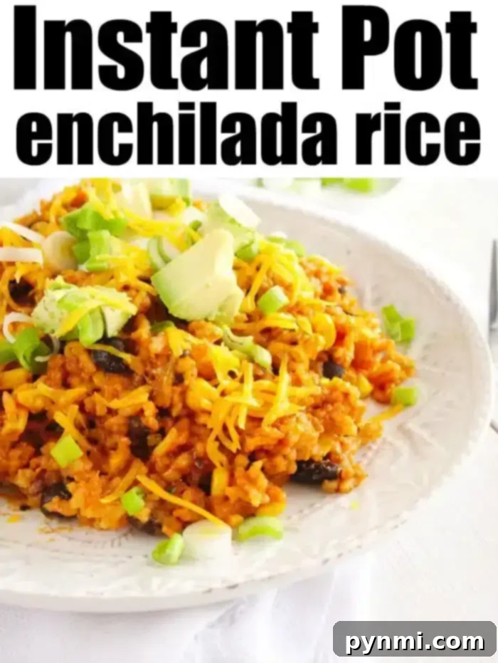 A large serving of One Pot Enchilada Rice, perfectly cooked with beans and corn, garnished with fresh cilantro, invitingly ready to be enjoyed as a hearty meal.