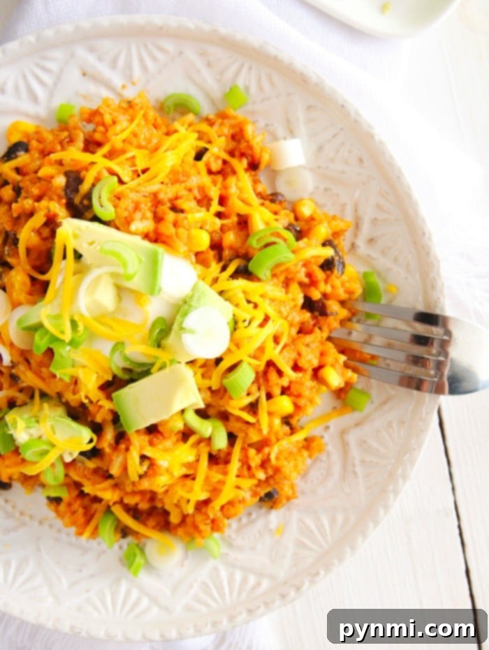 A close-up of a serving of Instant Pot Enchilada Rice in a bowl, showcasing the rich texture and colorful mix of ingredients, garnished with fresh cilantro.