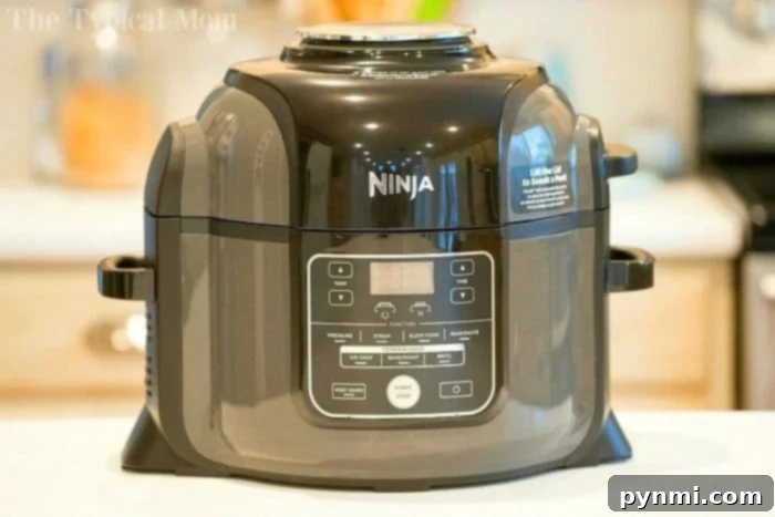 Crispy Air Fryer Cabbage 3 ninja foodi recipes 2