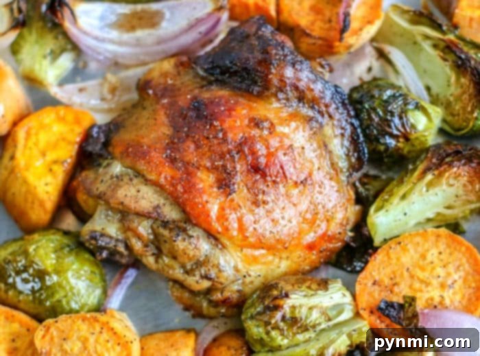 No Thaw Instant Pot Chicken Thighs 9 Instant Pot frozen chicken thighs close-up