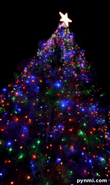 Bainbridge Circle Christmas Wonderland 3 bainbridge pictures