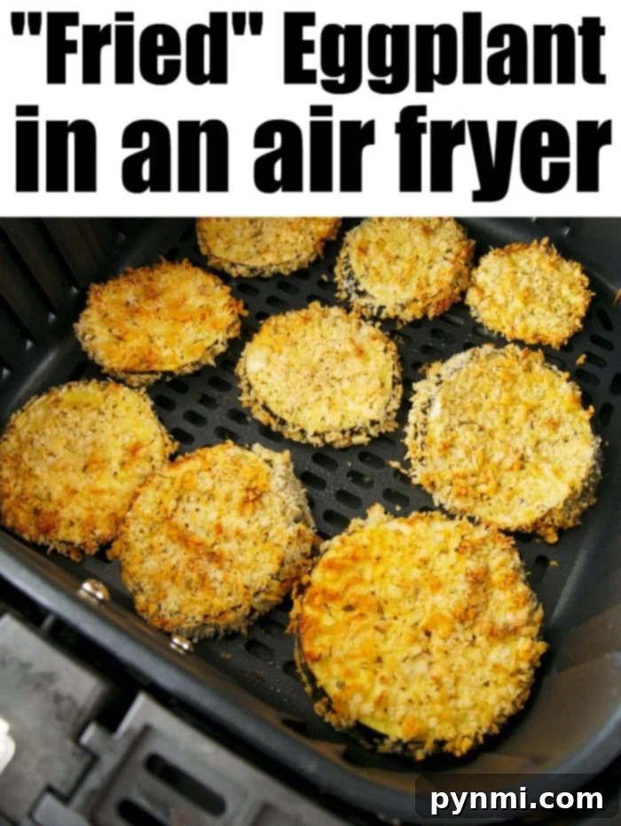 healthy fried eggplant