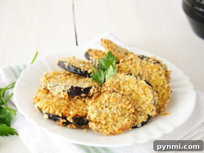fried eggplant recipe