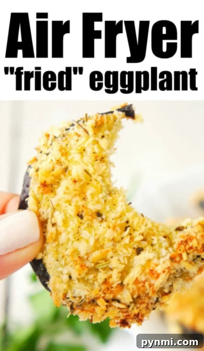 eggplant air fryer