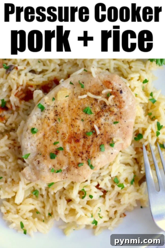 All-in-One Ninja Foodi Pork Chops and Rice 2 Instant Pot Pork and Rice cooked together for a quick and easy dinner