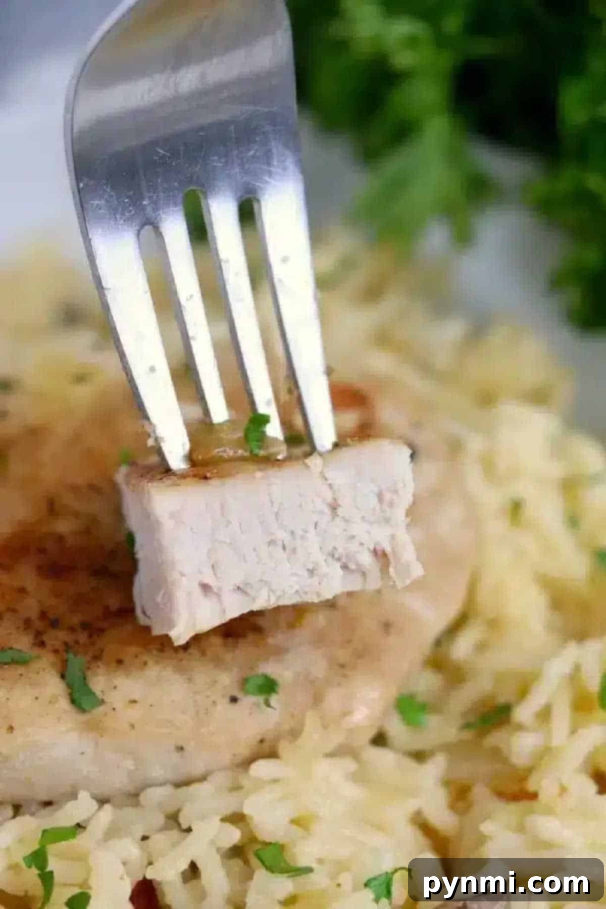 All-in-One Ninja Foodi Pork Chops and Rice 9 A fork holds a bite of pork chops over a plate of seasoned rice and herbs, inspired by flavors you'd find in Ninja Foodi pork chops.