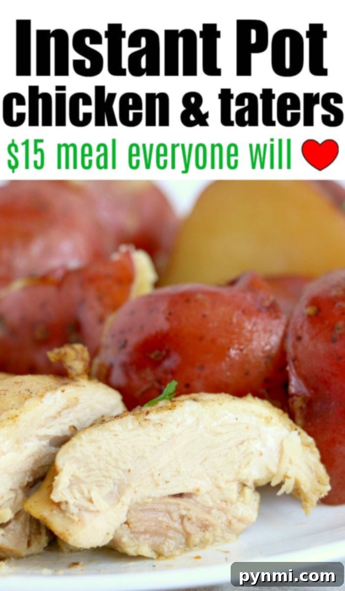 Hearty Instant Pot Chicken and Potatoes 10 pressure cooker chicken and potatoes