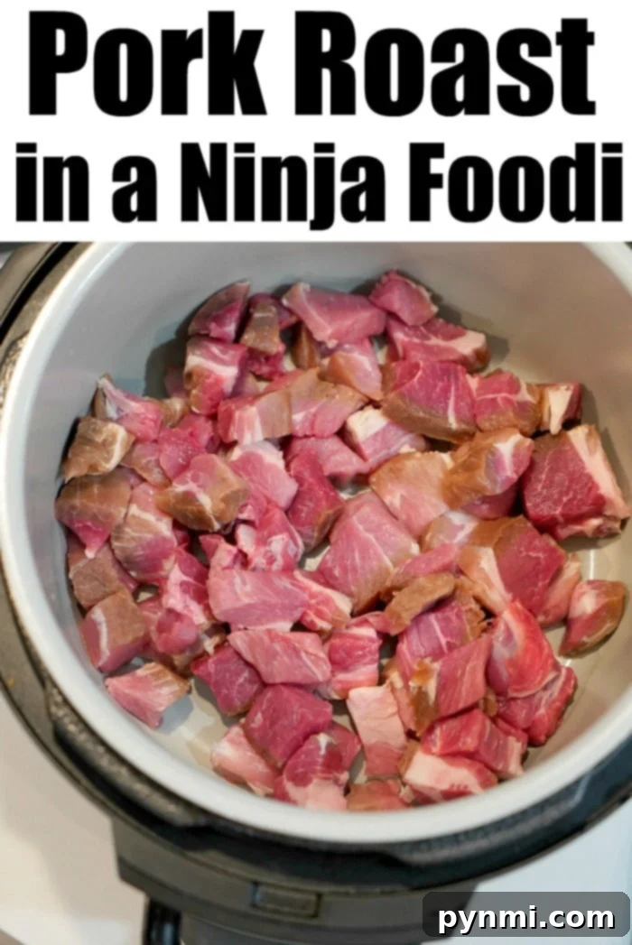 ninja foodi pork 