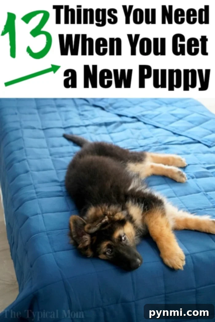Your Print-Ready Puppy Welcome Kit 3 New puppy checklist with essential items