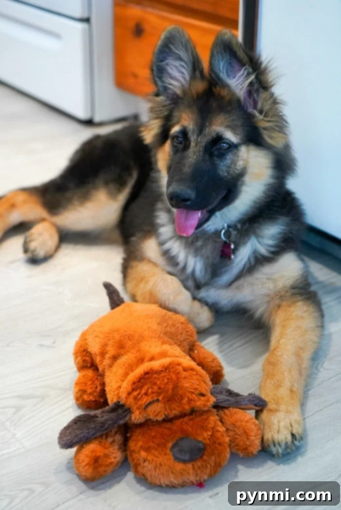 Your Print-Ready Puppy Welcome Kit 5 Heartbeat puppy toy comforting a new dog in a crate