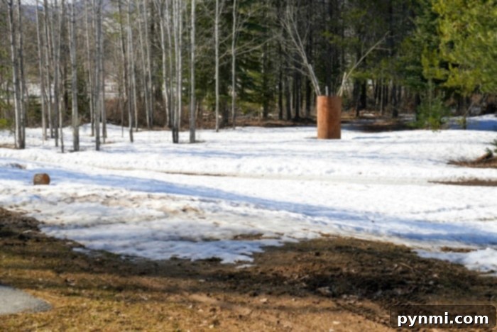 Your Print-Ready Puppy Welcome Kit 6 Snowy backyard illustrating outdoor potty challenges