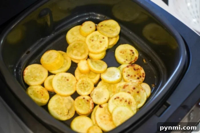 Air Fryer Frozen Chicken Tenders: Crispy Perfection 4 Air Fryer Squash as a Side Dish