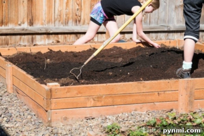 Making the Leap: Homeschooling Middle School 5 building a vegetable garden