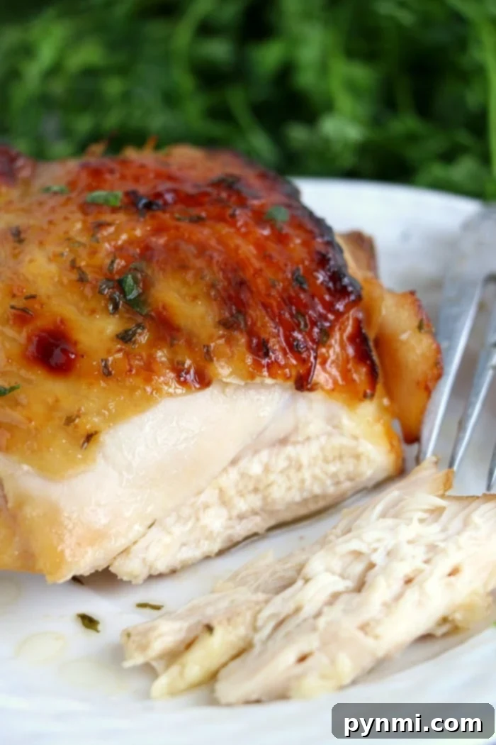 Perfectly cooked teriyaki chicken in the air fryer, ready to be served
