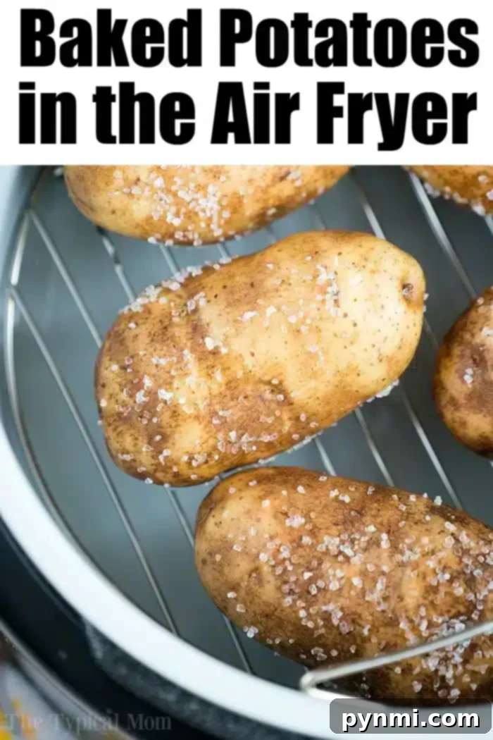 Air Fryer Potato Perfection 4 Various potato air fryer recipes with different cuts and seasonings
