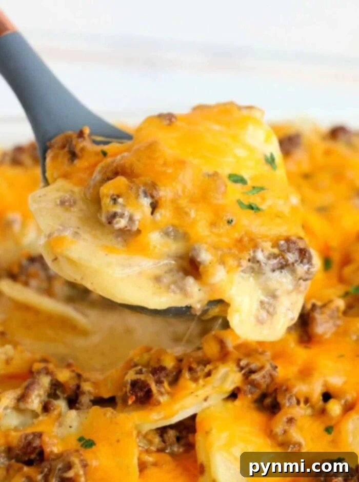 A golden-brown cheesy ground beef and potato casserole, fresh from the oven, ready to be served.